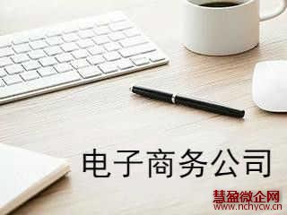 0元注册电子商务公司流程