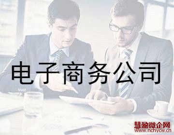 注册电子商务公司条件